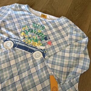 Ruby Rd. Women's Blue Plaid 3/4 Sleeve Cotton "Hello Spring" Car Shirt‎ Plus 3X